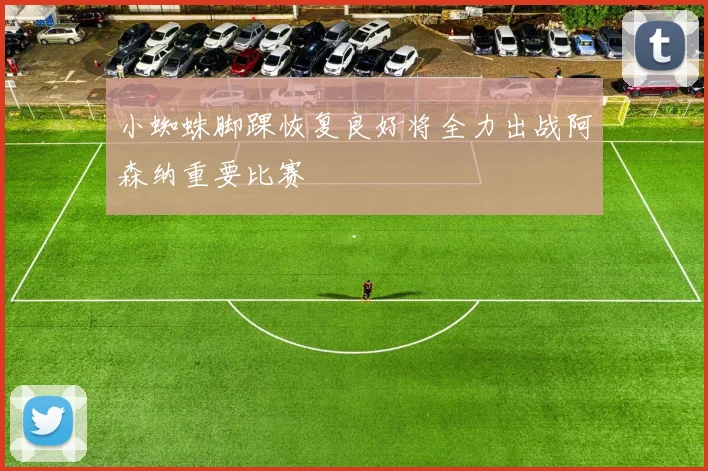 小蜘蛛脚踝恢复良好将全力出战阿森纳重要比赛